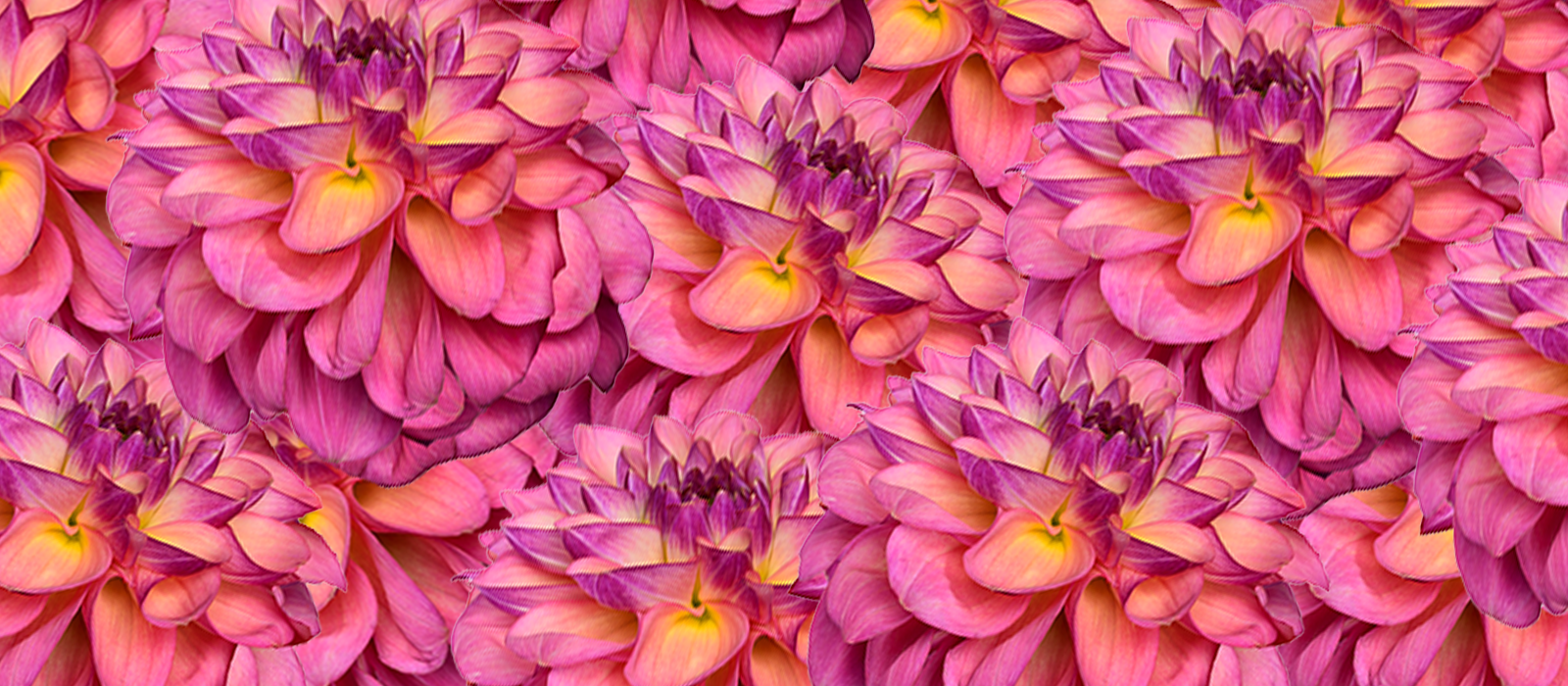 Teresa slider 1 1600 x700