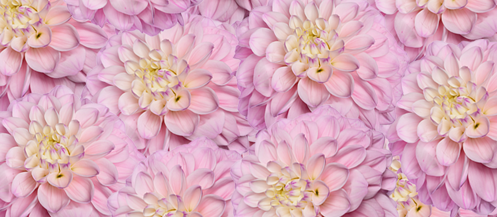 Valeria slider 1 1600 x700
